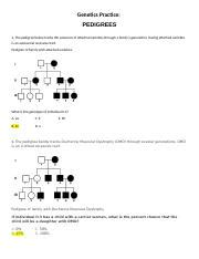 Genetics Practice Pedigree Docx Genetics Practice Pedigrees The