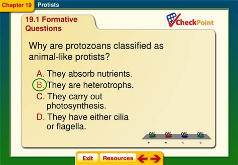 Ppt Chapter 19 Protists Powerpoint Presentation Free Download Id6404743