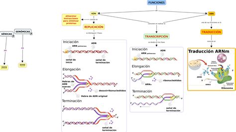 Biología 1