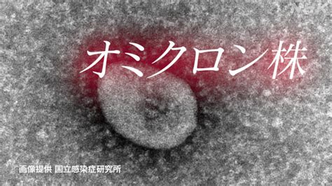 “オミクロン株 致死率 季節性インフルより高い”専門家分析 Nhk 新型コロナウイルス