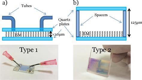 Figure From Dye Giant Absorption And Light Confinement Effects In