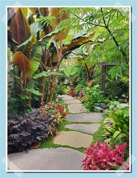 Tropical Garden Design Tropical Backyard Tropical Plants Backyard Garden Small Tropical