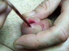 Bizarre Porn Extreme Porn ThisVid Tube