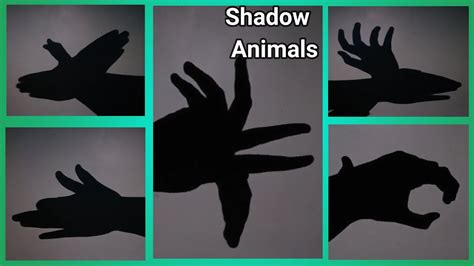 Cool One-Handed Shadow Puppets to Impress Your Friends and Family: Learn How to Make Them!