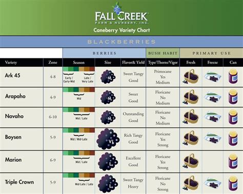 Blackberry Variety Chart Yard And Garden Pinterest