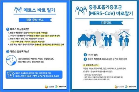 격리되면 메르스 의심환자·밀접접촉자 혼동되는 용어 정리 네이트 뉴스