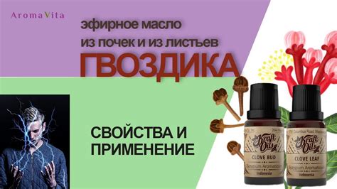 Эфирное масло гвоздики из листьев и из почек - свойства, действие ...