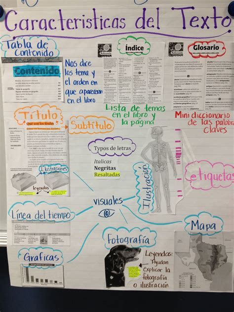 Text Features Spanish Anchor Chart