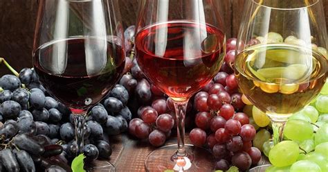 Come Fare Il Vino Guida Pratica In 10 Passi Su Come Si Fa Il Vino