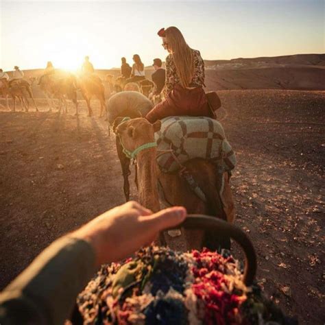 Da Marrakech Giro In Cammello Al Tramonto Nel Deserto Di Agafay E Cena