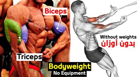 Biceps And Triceps Without Equipment For Get Big Arms Bodyweight Youtube