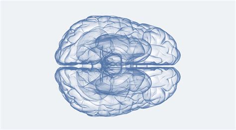 The Brain Research | FIU Medicine