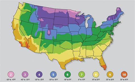 Usda Plant Hardiness Zones Map 2024 June Christiana