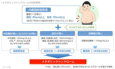 メタボリックシンドロームの症状・原因｜くすりと健康の情報局