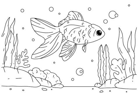 Livre De Coloriage Pour Enfants Page 5 Illustration De Poisson Rouge