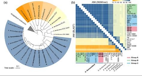 Pdf Comparative Genomics Reveals Intraspecific Divergence Of