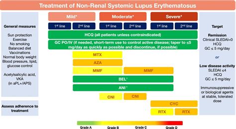 Eular Recommendations For The Management Of Systemic Lupus