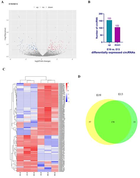 Veterinary Sciences Free Full Text Transcriptome Rna Sequencing