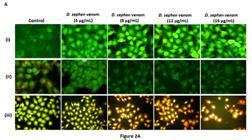 Scielo Brasil Erratum Antiproliferative Activity Of Marine