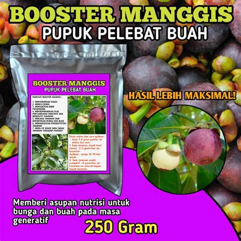 Jual Pupuk Booster Pelebat Buah Manggis Pupuk Perangsang Buah Nutrisi