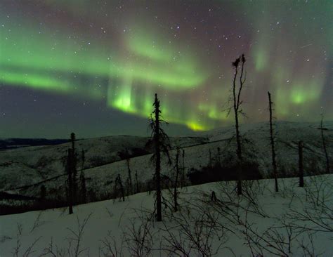 2023 Aurora Borealis Wall Calendar - Lee Petersen