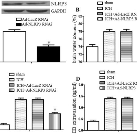 Knockdown Of Nlrp Aggravated Neurological Deficits Brain Edema And