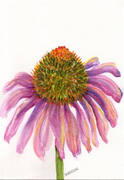 Coneflower Watercolors Painting Original Echinacea Painting Etsy