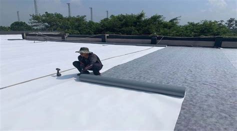 Thermoplastic Polyolefin Tpo Waterproofing Membrane Application Photo