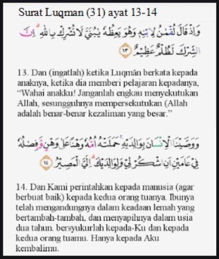 Surat Al Luqman Ayat 13 14 Beserta Artinya 51 Koleksi Gambar