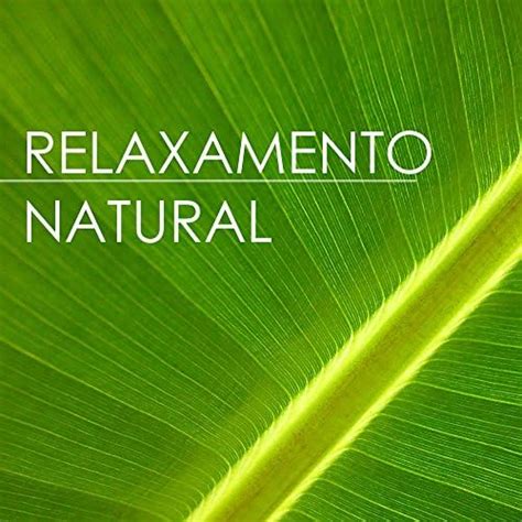 Relaxamento Natural Sons Da Natureza Para Sess Es De Yoga Medita O