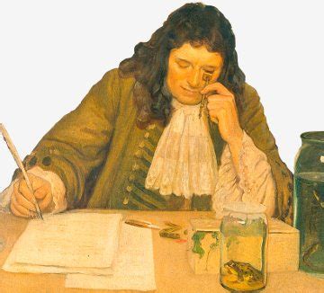 Antonie Van Leeuwenhoek Wikipedia 47 OFF