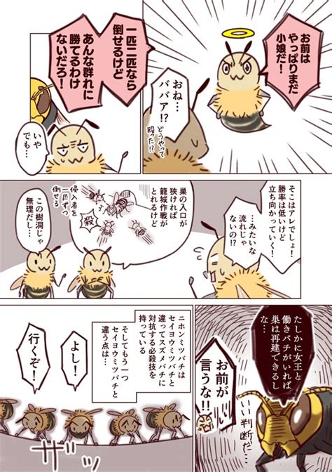 ＜画像30 32＞ミツバチの生態は必殺技ありの“バトル漫画”だったスズメバチとの死闘描く創作漫画が学べて熱い【作者に訊く】｜ウォーカープラス