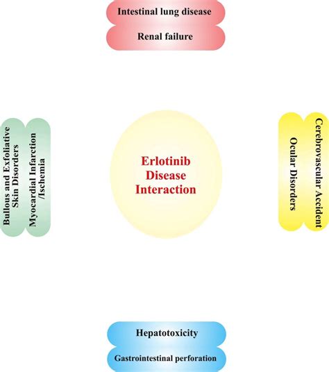 Erlotinib - Drugs Details