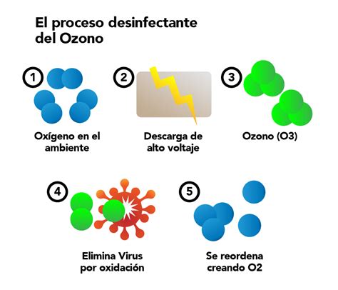 ¿cómo Funciona El Ozono Estación Ozono