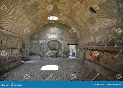 Skeletons At Herculaneum Editorial Image | CartoonDealer.com #67276414