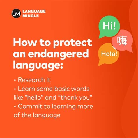 Protect Endangered Languages By Learning Basic Vocabulary And