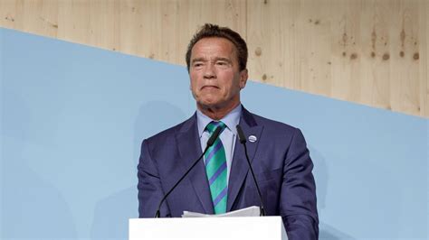 “Arnold, You Are Stupid”: Arnold Schwarzenegger Rejecting $40 Million a ...