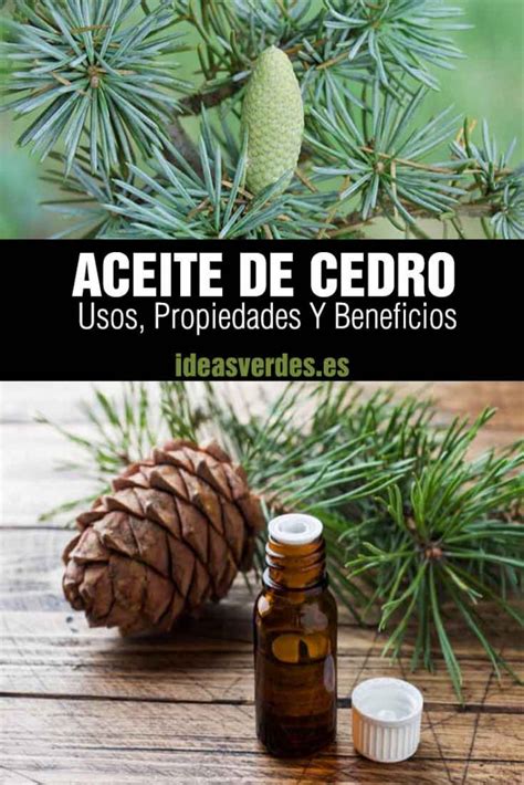 Aceite Esencial De Cedro Usos Y Propiedades Para La Salud Ideas Verdes