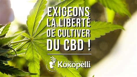 P Tition Pour La Fin De Linterdiction De La Culture Du Cannabis Cbd