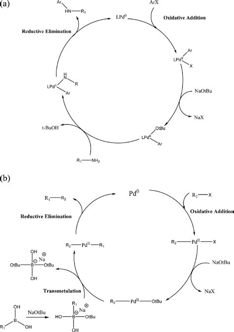 Scheme 5 (a) Mechanism of Suzuki-Miyaura cross-coupling reaction; (b ...