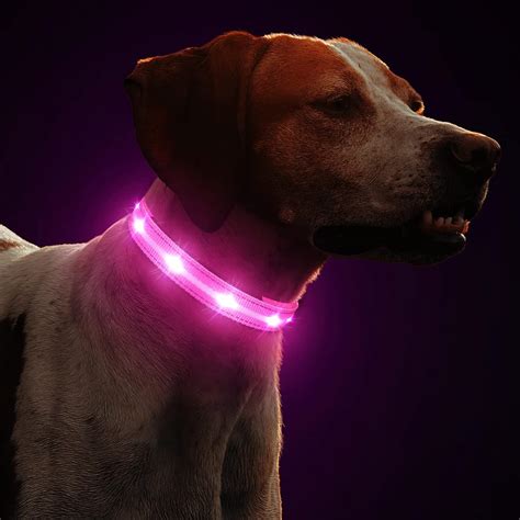 Masbrill Light Up Dog Collars Rgb Led Collar For Dogs