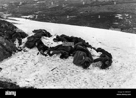 Events Second World War Wwii Russia Fallen Soldiers Dead Bodies