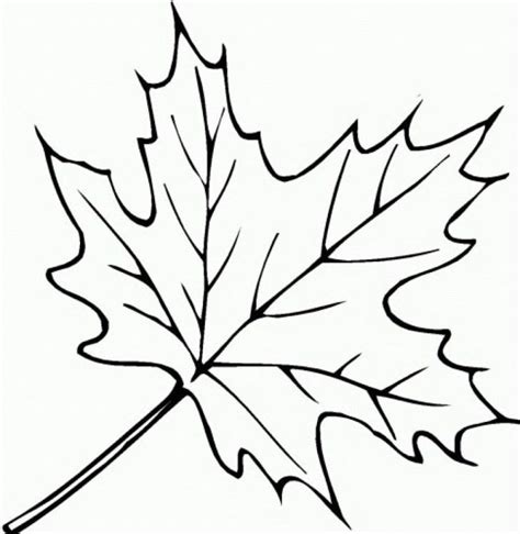 Fall Leaves Coloring Pages Free Fall Leaves Coloring Pages Collection Of Download Them And Try ...