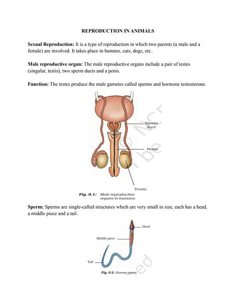 Reproduction In Animals For Class 8
