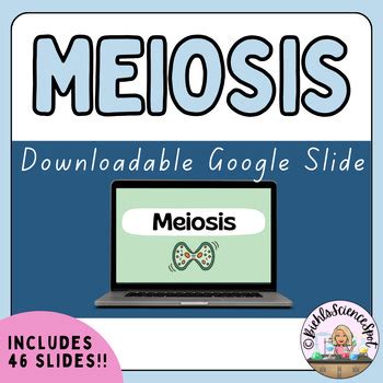 Meiosis PowerPoint by Miss B | TPT 