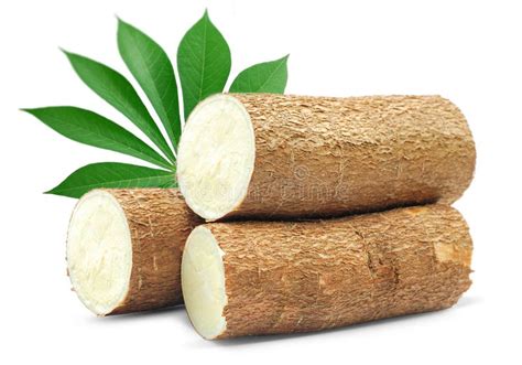 Cassava Isolated On White Background Stock Image Image Of Wood Food