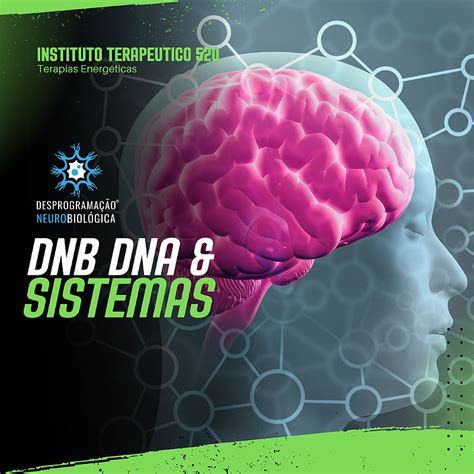 Sess O De Desprograma O Neurobiol Gica Dnb Dna Sistemas