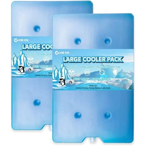 Lot de 2 blocs réfrigérants pour glacière glacière Grands blocs de