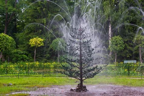 Tree fountain Stock Photos, Royalty Free Tree fountain Images ...