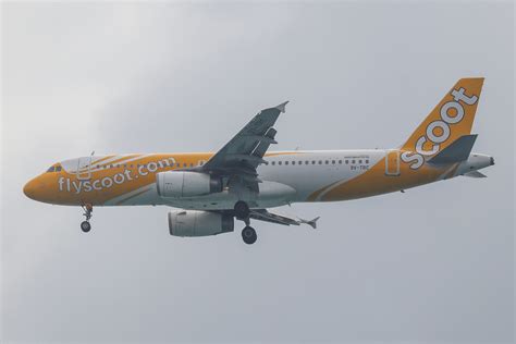 V Trc Airbus A Scoot Wsss Singapore Changi Flickr